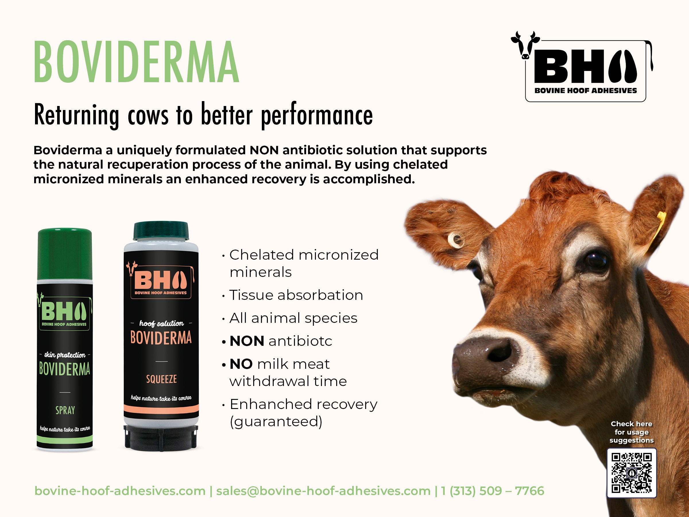Boviderma Spray and Squeeze 318