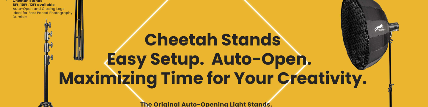Cheetah Stand 36