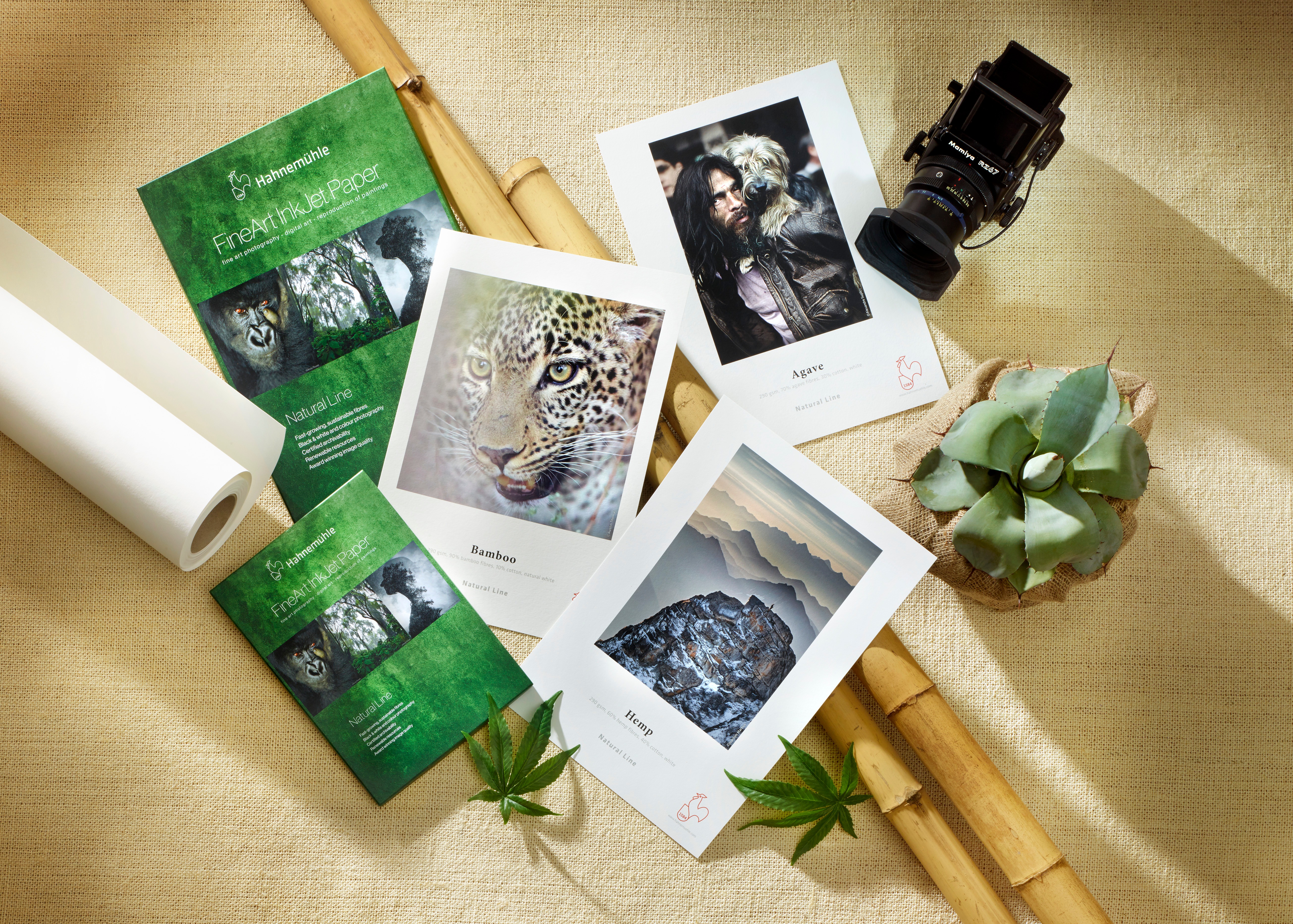 FREE Catalogue – Sustainability Meets FineArt! 103