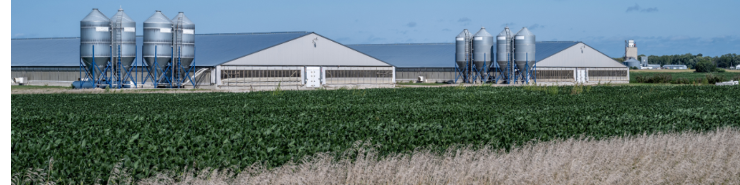 Altenburg Construction Inc. Slat Replacement Professionals 32