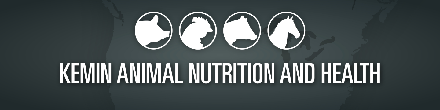 Kemin Animal Nutrition & Health 37