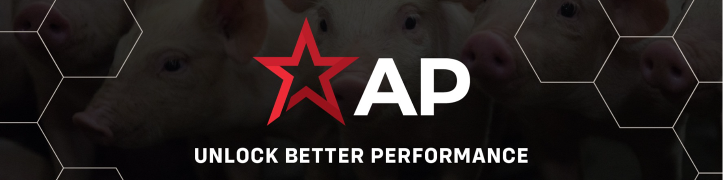 Automated Production 80