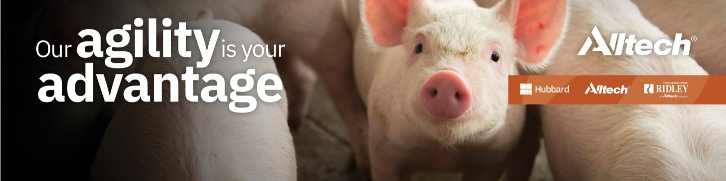 Alltech US Pork 162