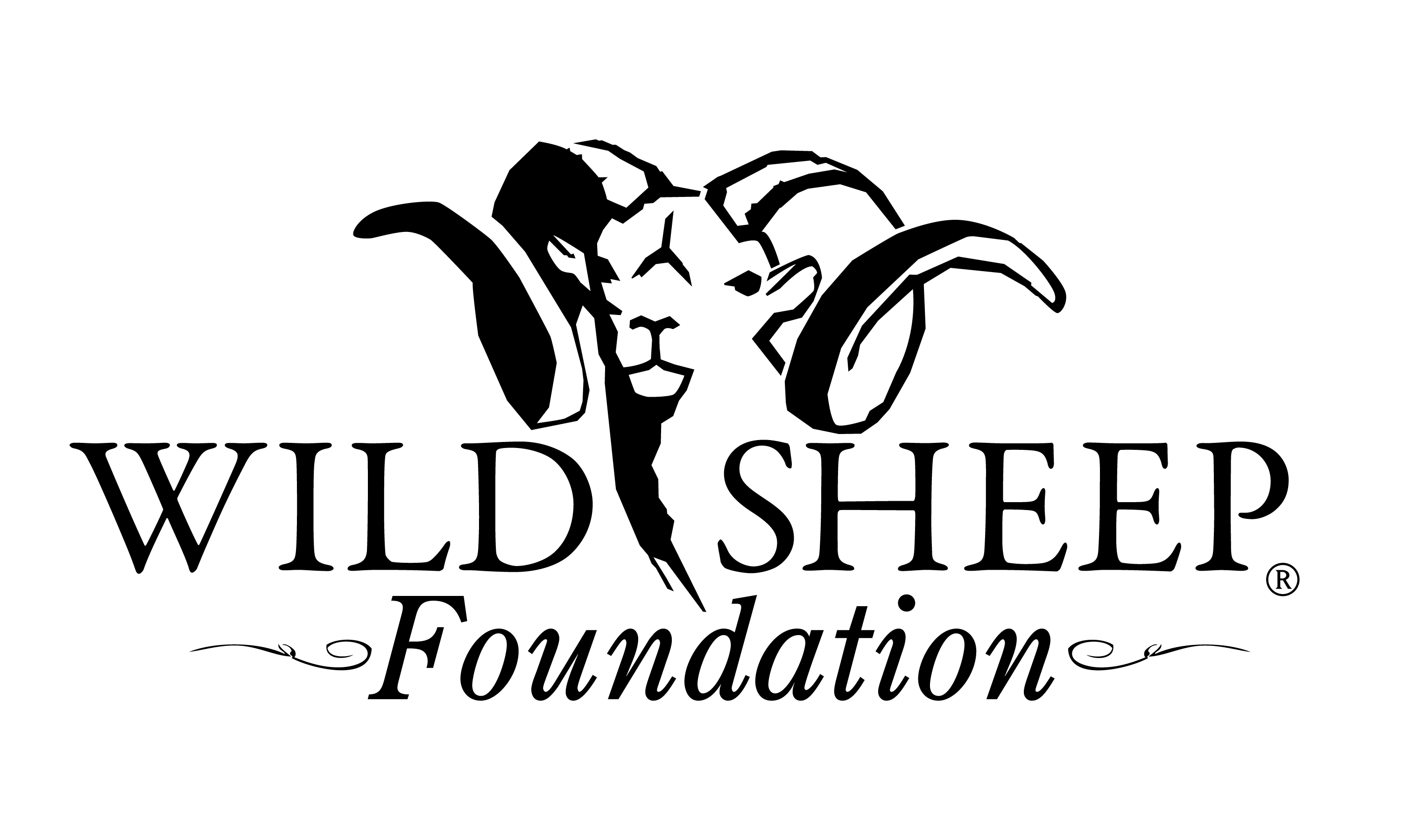 Home wild sheep show 2025