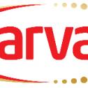 Sarvan Sekerleme (Candy) 439