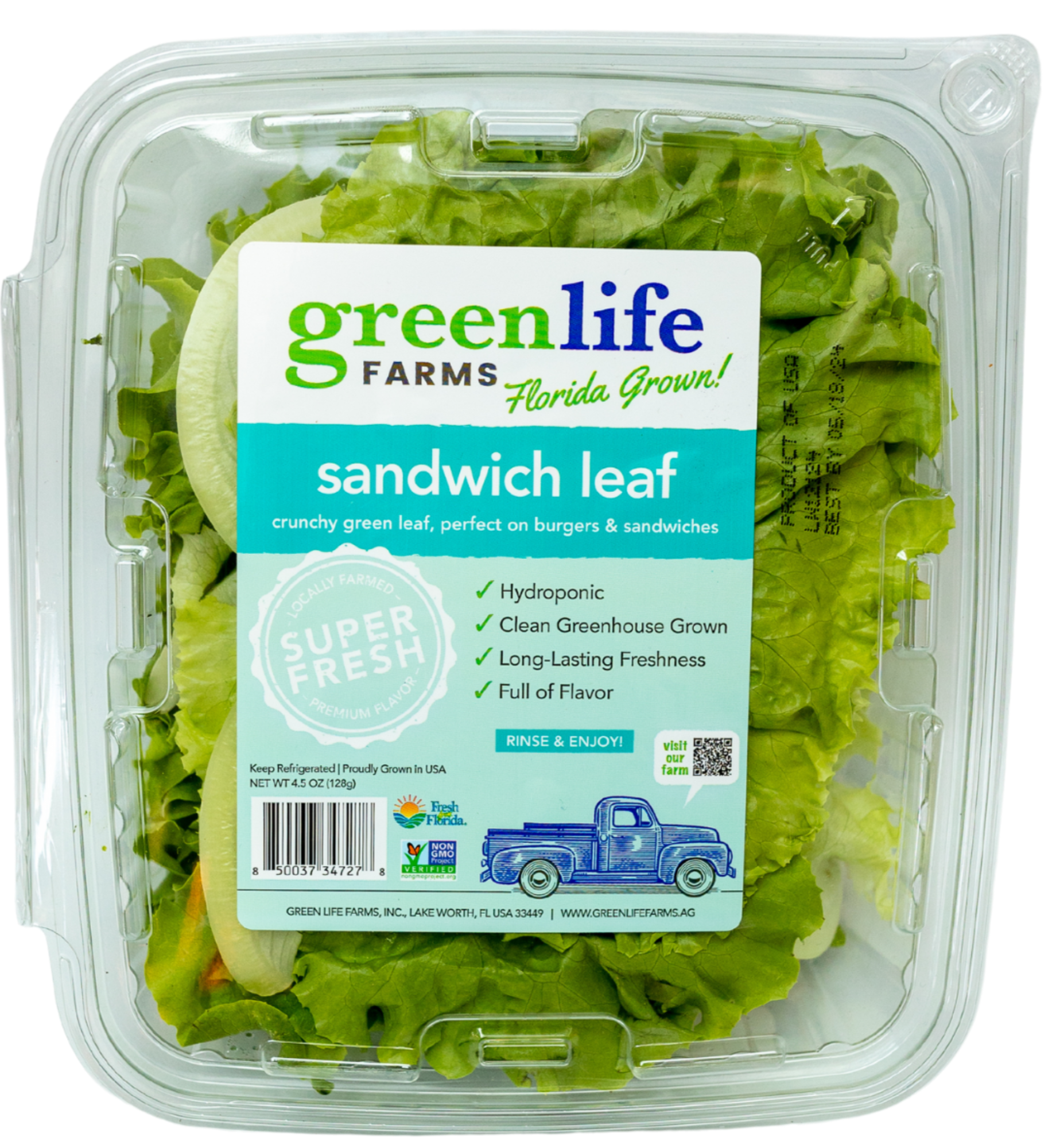 SANDWICH LEAF 536