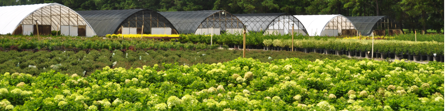 Sampson Nursery, Inc. 200