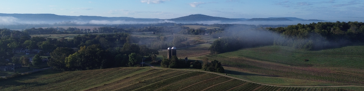 Easy Tree Nursery 731