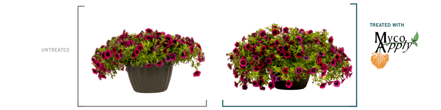 Mycorrhizal Applications, LLC 880