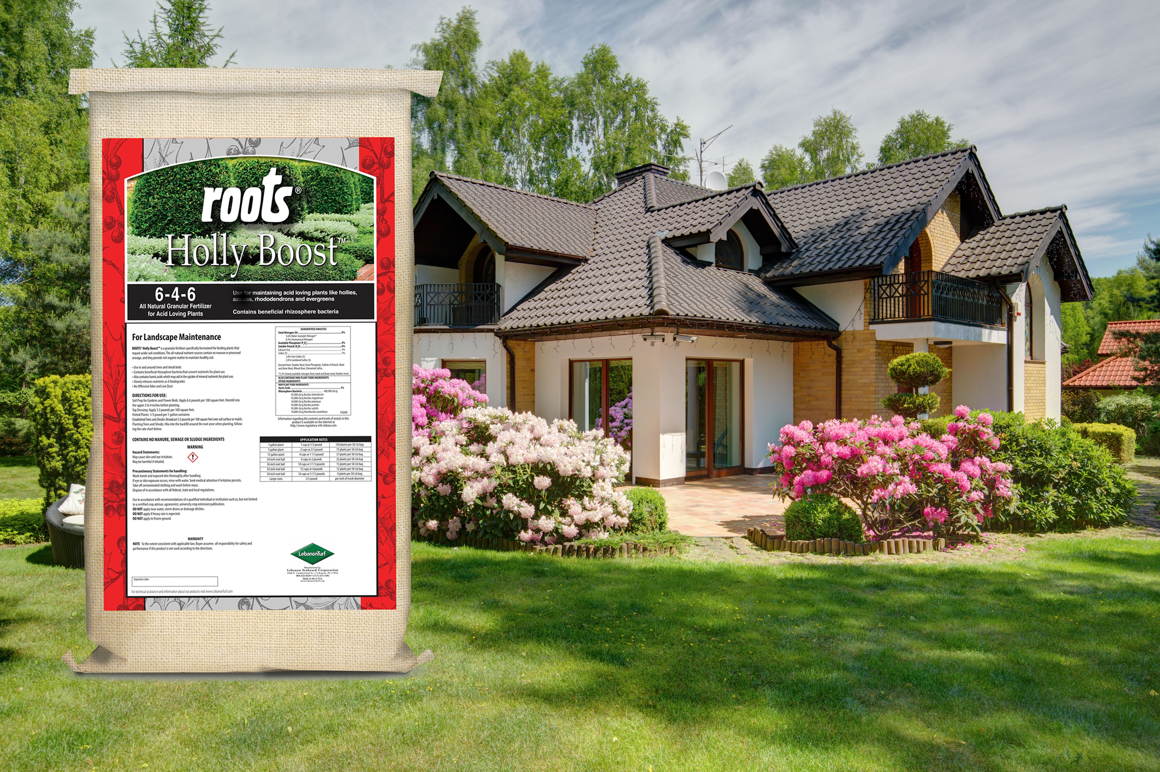 ROOTS Holly Boost 6-4-6 83