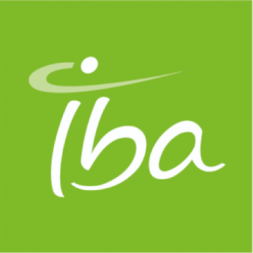IBA Radcal 66