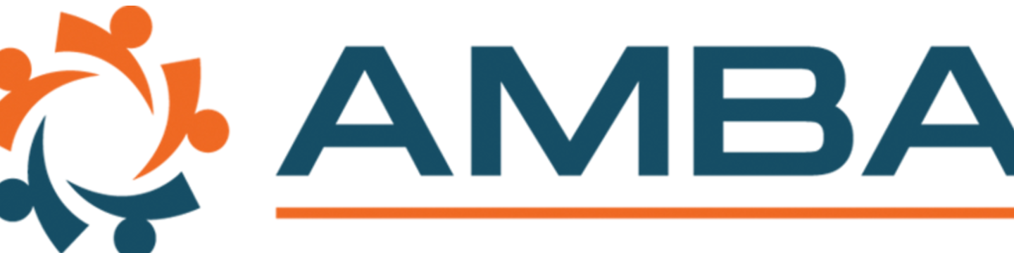 AMBA 205