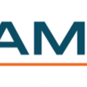 AMBA 205