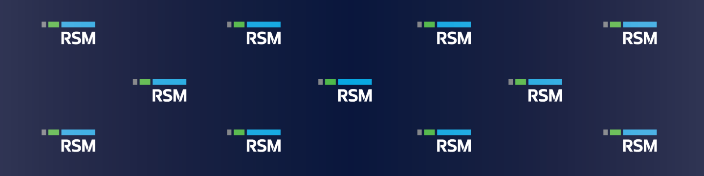 RSM US LLP 229