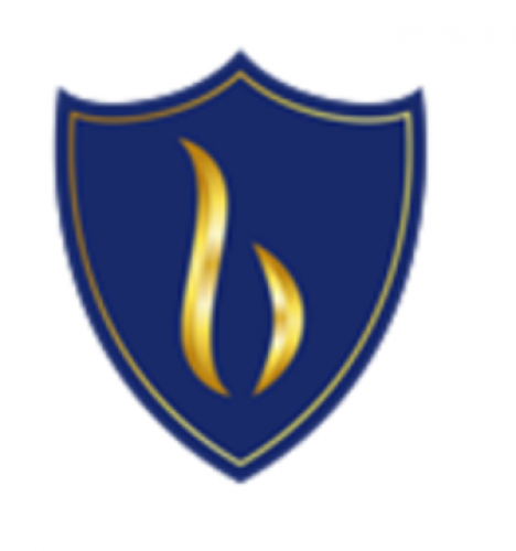 Bulwark Health 296