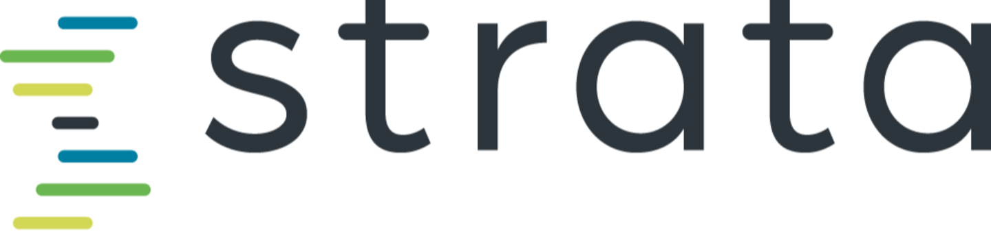 Strata Decision Technology, LLC 42