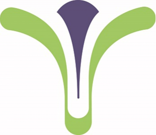 Gynesonics 102