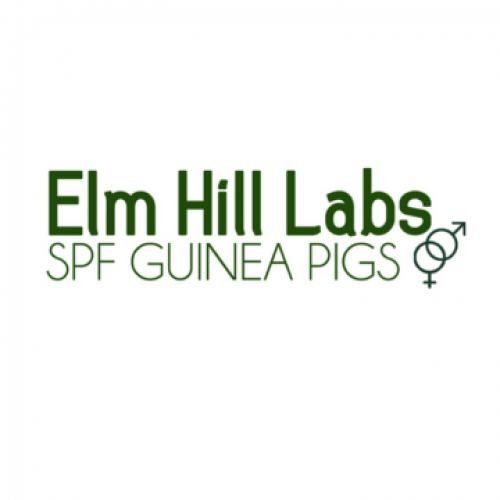 Elm Hill Labs 21