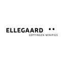 Ellegaard Göttingen Minipigs A/S 52