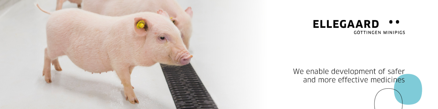 Ellegaard Göttingen Minipigs A/S 52