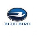 Blue Bird 187