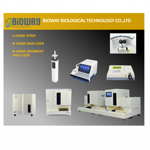 BIOWAY Biological Technology CO.,Ltd 776