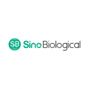 Sino Biological, Inc. 990