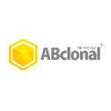 ABclonal Technology 260