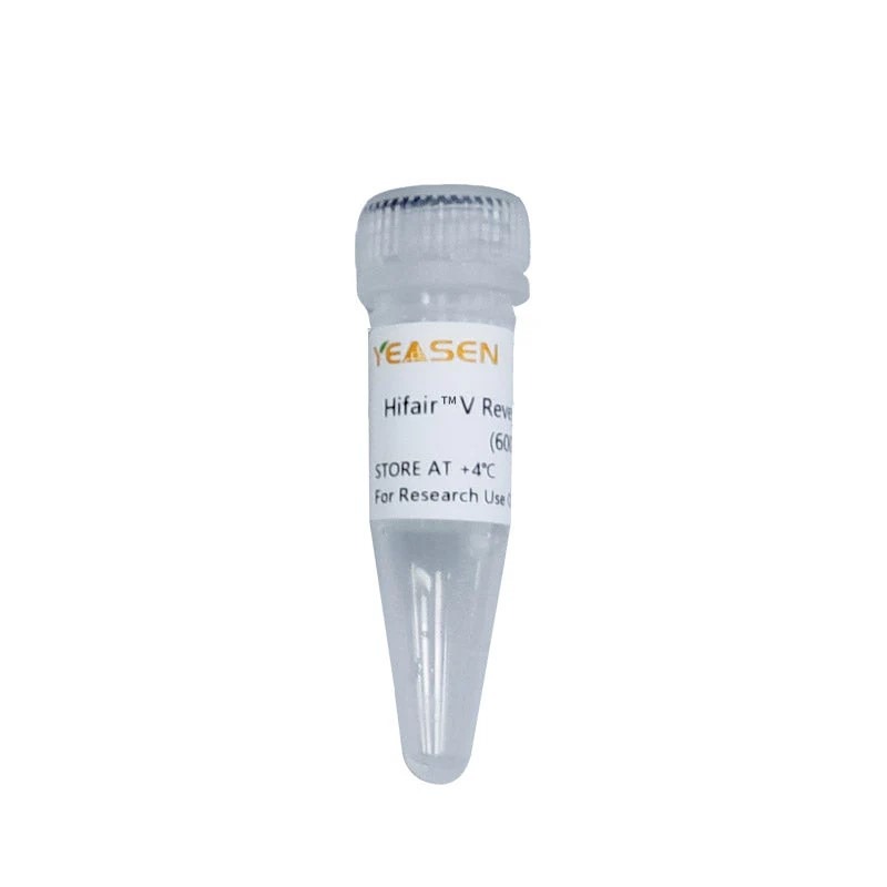 Reverse Transcriptase 653