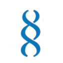Otogenetics Corporation 31