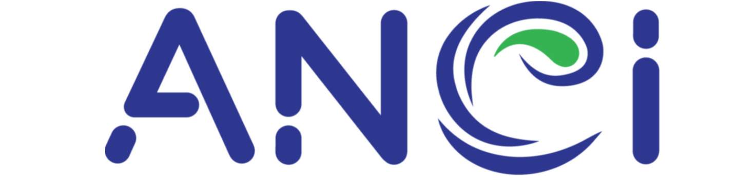 ANCI Inc 267