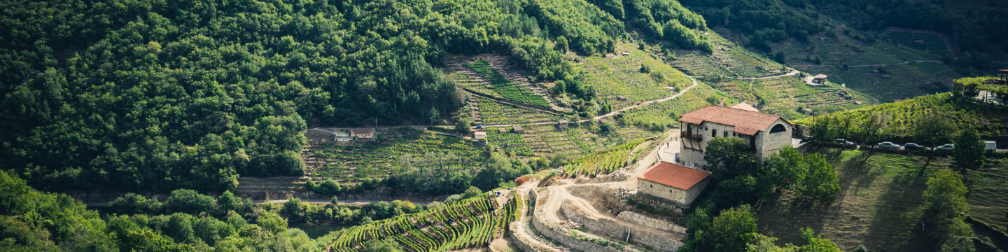 Vinigalicia Family Winery 576