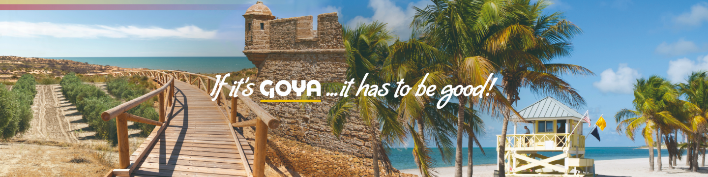GOYA 611