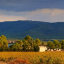 Casa Los Frailes Winery 627