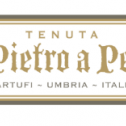AZ. AGR. San Pietro A Pettine 938
