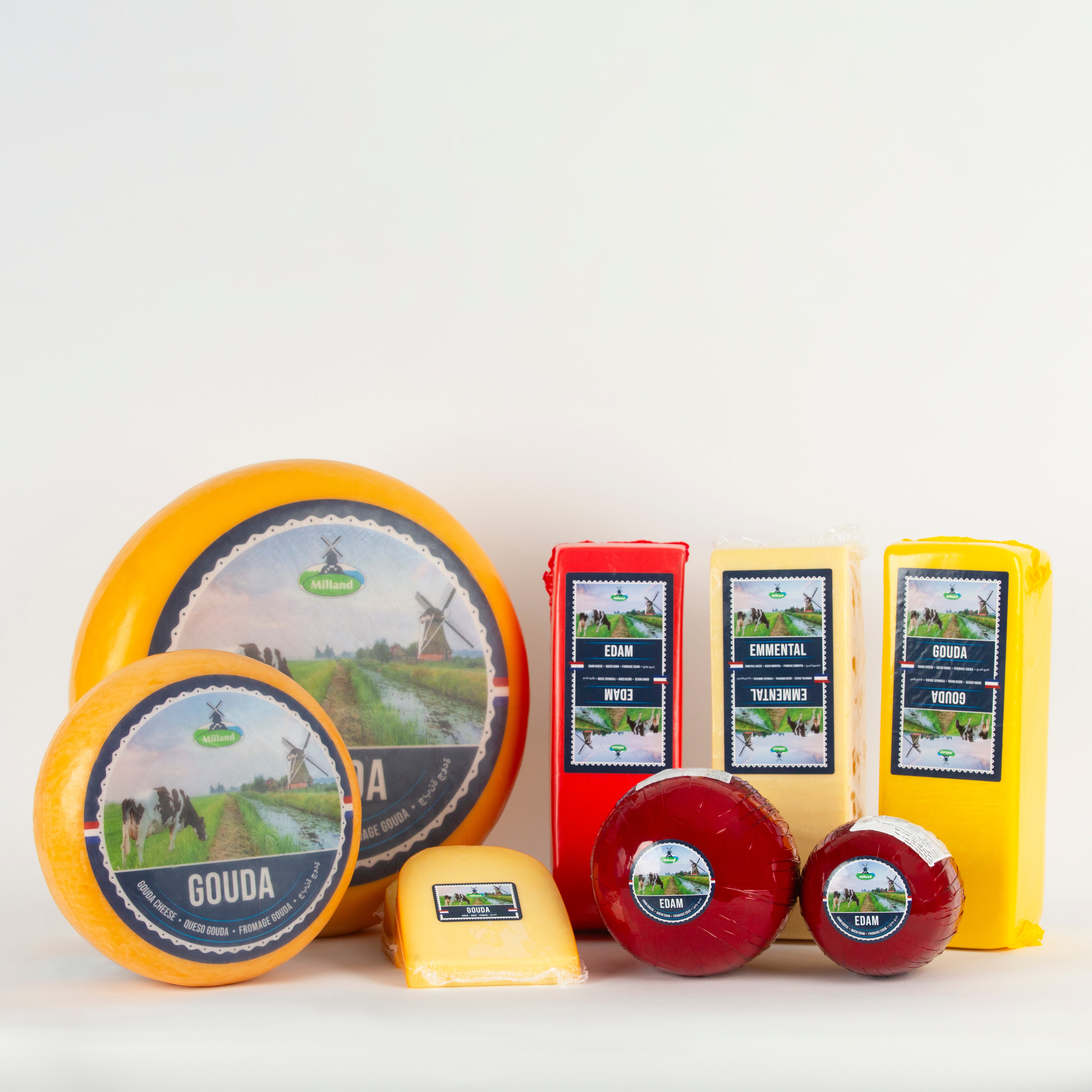 Dutch cheese 1203
