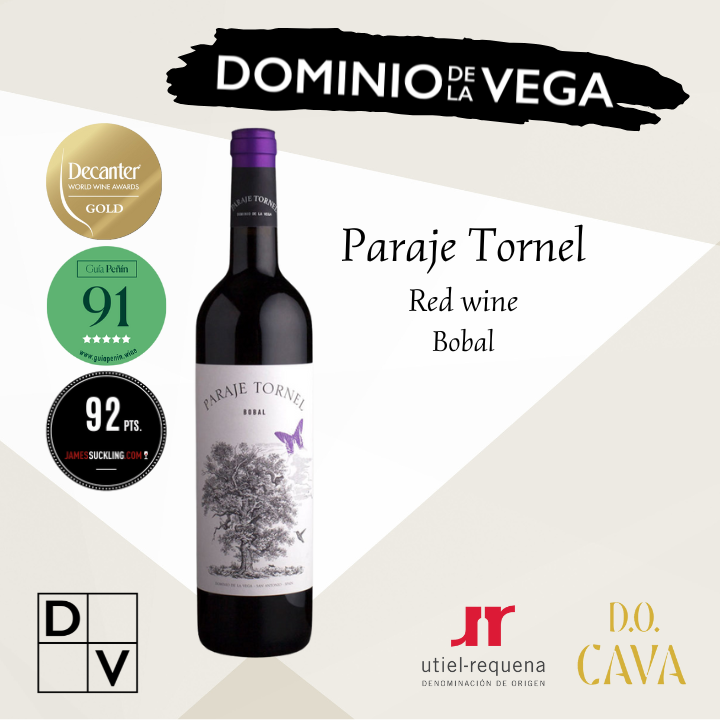 DV Paraje Tornel Red wine aging 12 months 549