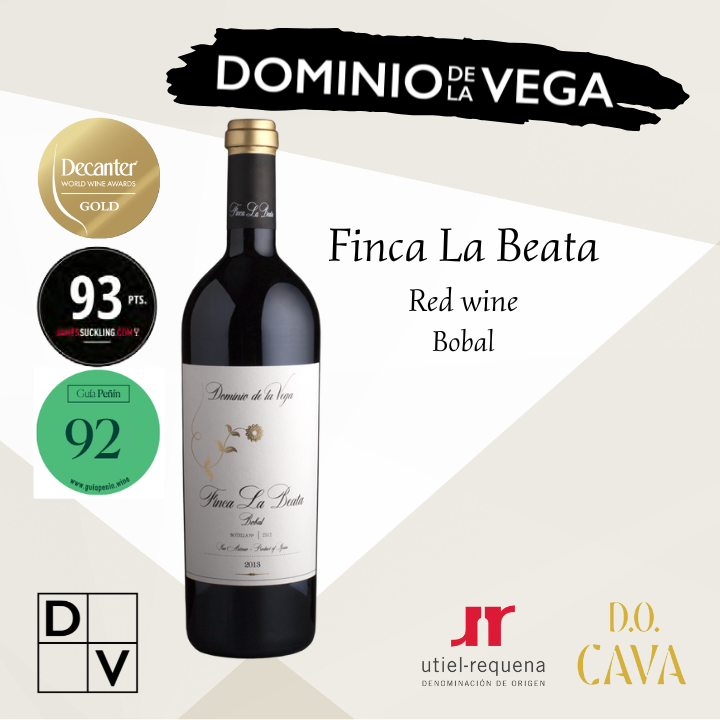 DV Finca La Beata Red Wine aging 18 months 550