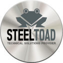 SteelToad Consulting, LLC. 251