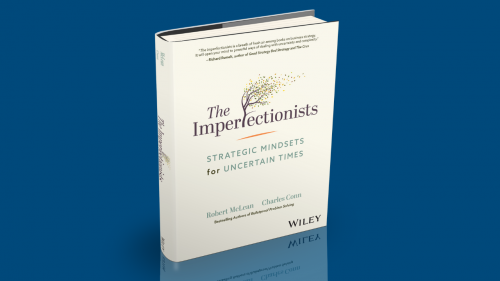 The Imperfectionists: Rethinking Strategy In An Uncertain World 261