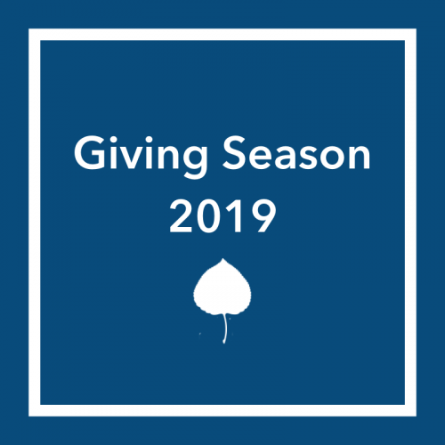 Support Causes Meaningful To Fellows: 2019 Giving Season 230