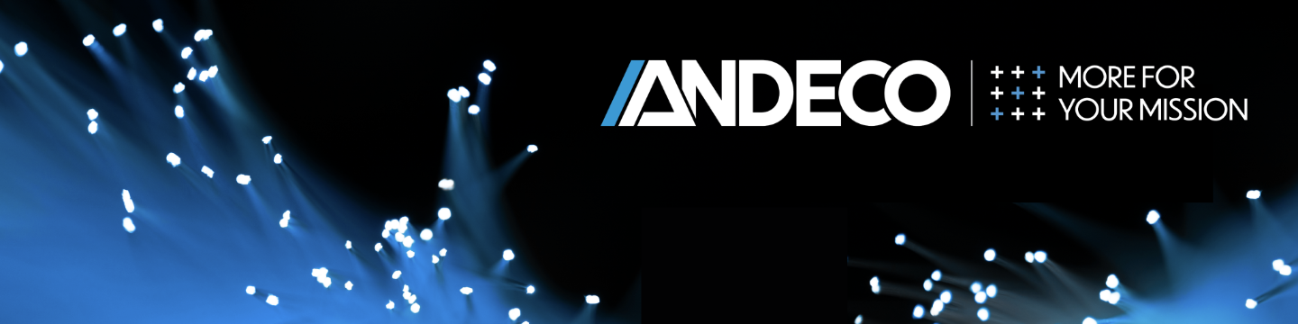 ANDECO 19