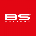 BS Battery USA, Inc. 313