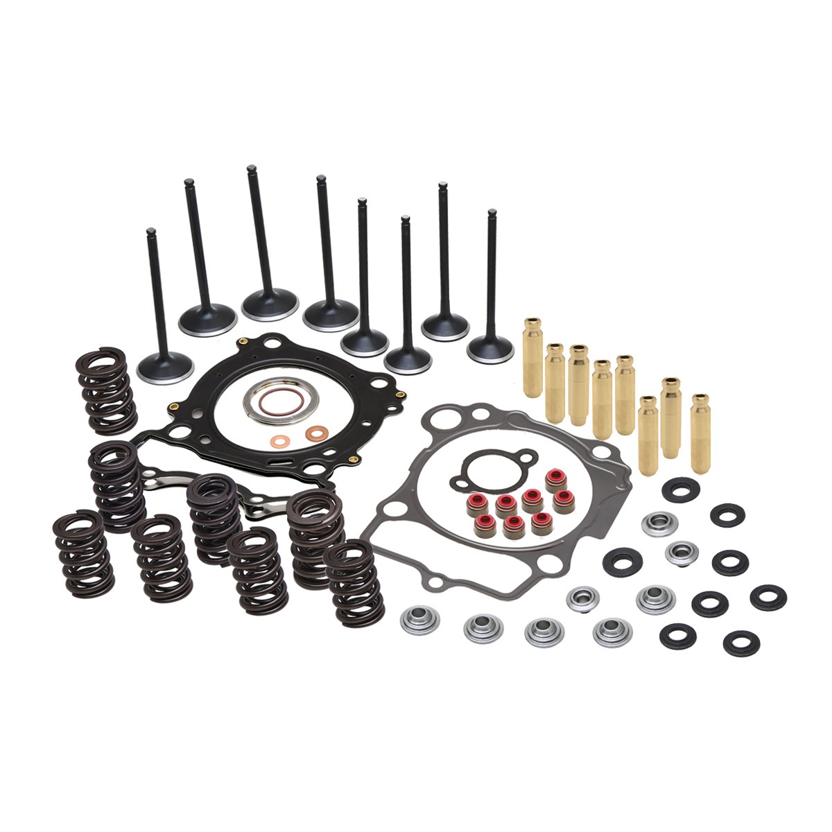 Cylinder Head Service Kit, 0.470" Lift, Can-Am®, Various 850-1000cc Twins*, 2013-2020 302