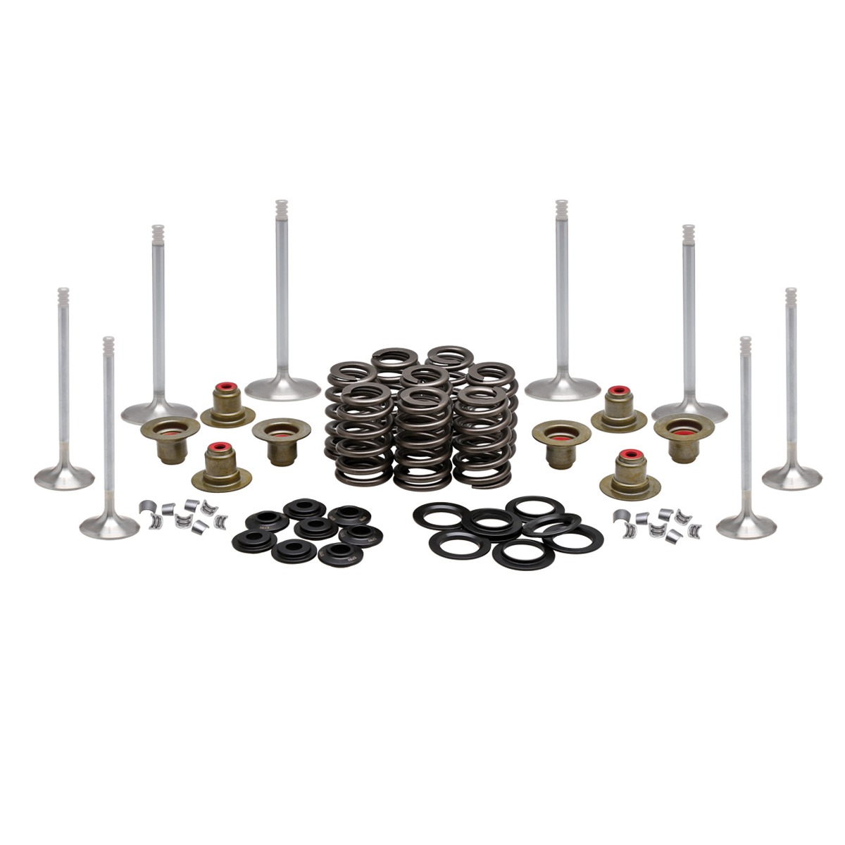 Engine Kit, Steel, 0.465" Lift, HD®, M8™ (& CVO’s*) 2017-2025 304