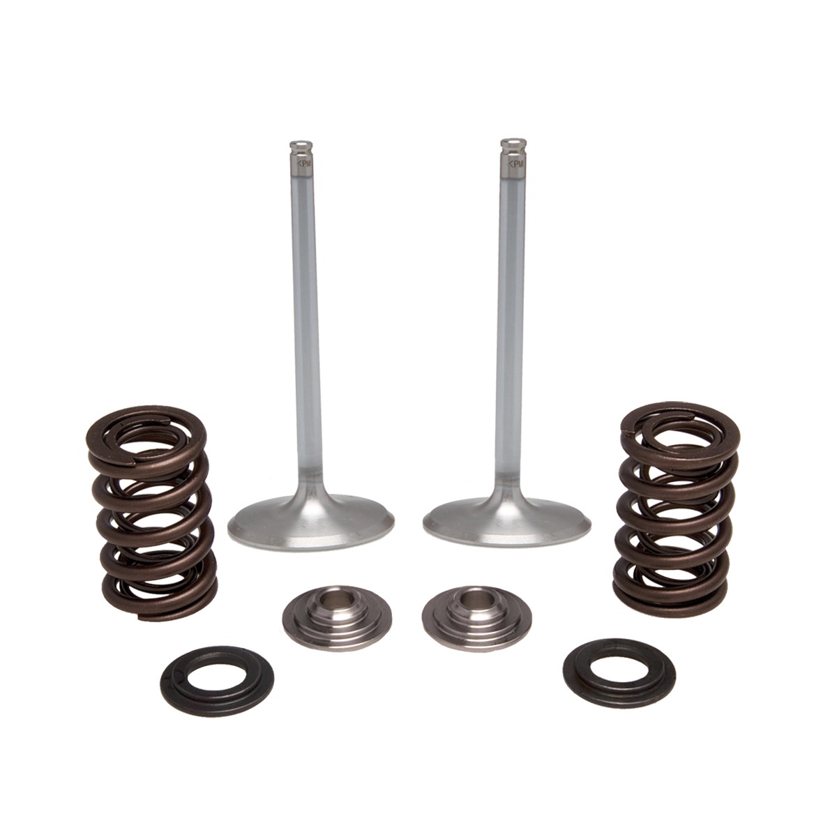 Intake Only Spring Kit, Titanium, 0.440" Lift, Honda®, CRF™ 450R/ RX/ WE, 2017-2026 308