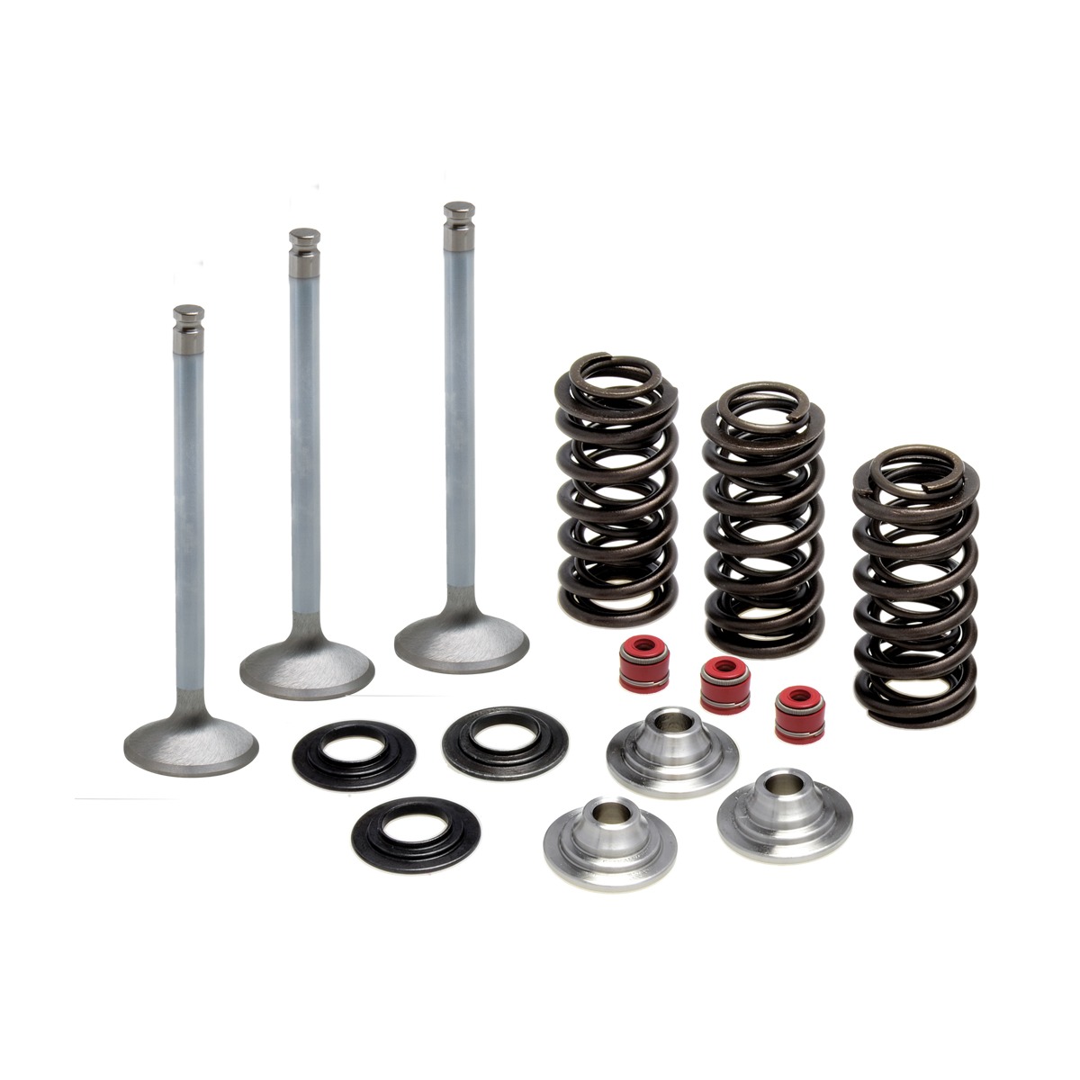 Intake Only Spring Kit, Titanium, 0.380" Lift, Various Yamaha® Applications 309