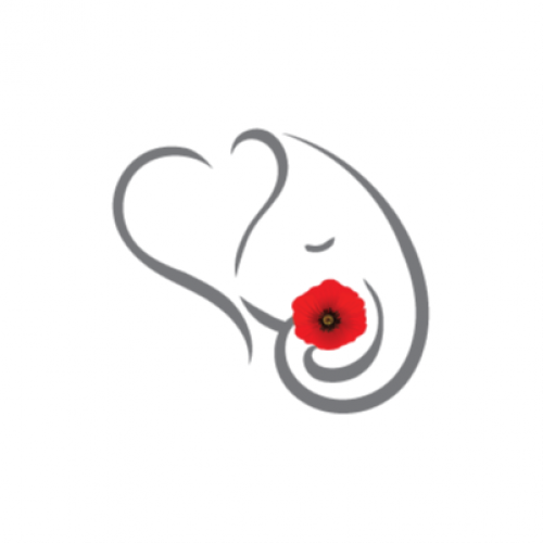 Enclara Pharmacia 32