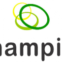Champion Advanced Materials 129