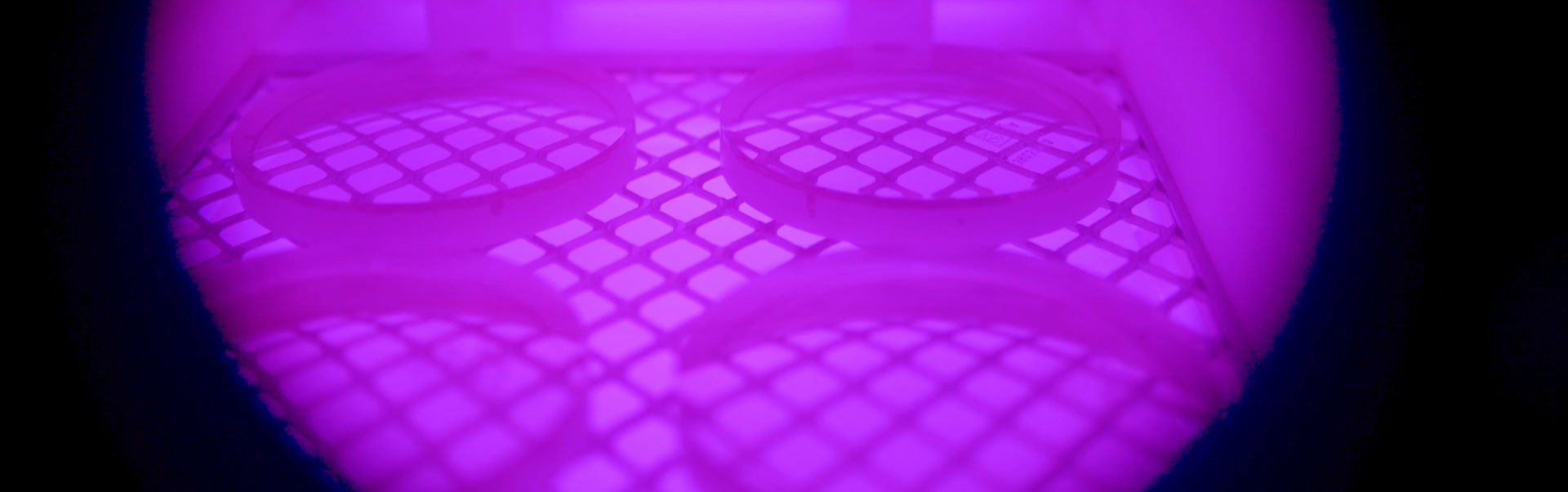 Tantec Plasma COADTEC system for plasma coating 71